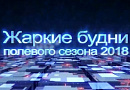 Жаркие будни полевого сезона 2018